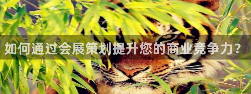 果博集团：如何通过会展策划提升您的商业竞争力？