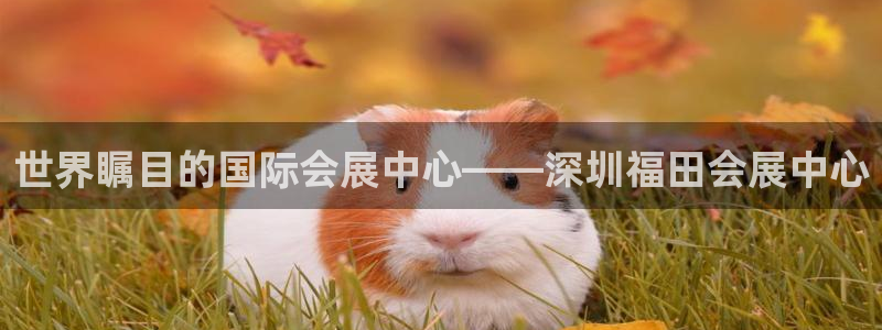 果博公司会员注册：世界瞩目的国际会展中心——深圳福