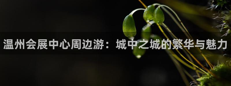 果博公司客服微信怎么加