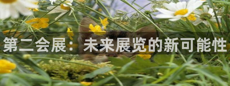 果博平台开户电话：第二会展：未来展览的新