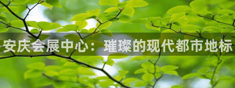 果博手机版下载：安庆会展中心：璀璨的现代