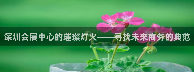 果博公司客服微信：深圳会展中心的璀璨灯火