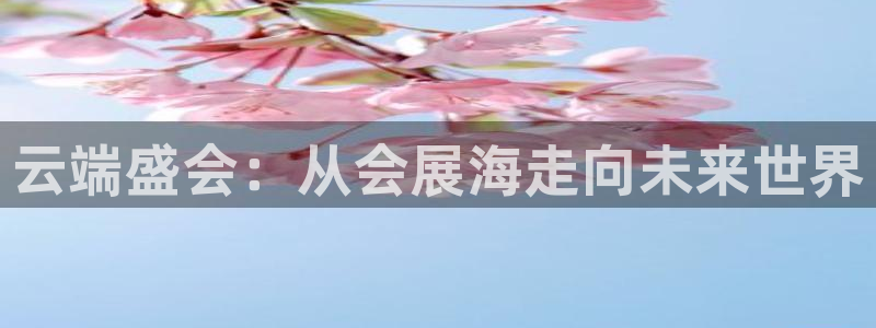 苹果电脑怎么下载博弈大师等软件：云端盛会
