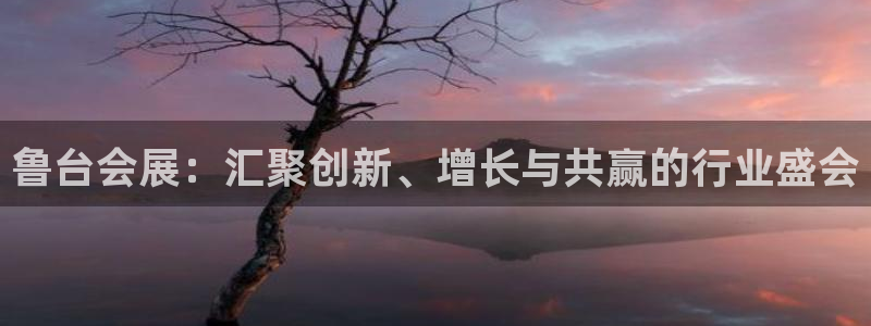 果博公司怎么开户：鲁台会展：汇聚创新、增