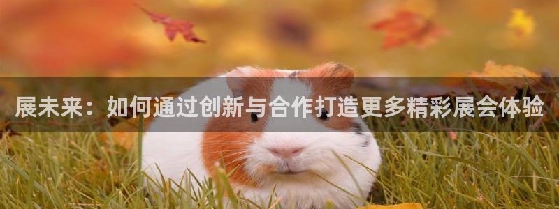 果博注册客服电话：展未来：如何通过创新与