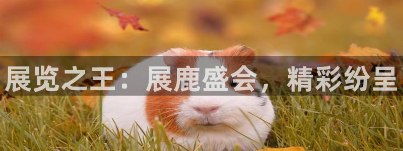 果博官网客服电话号码查询：展览之王：展鹿