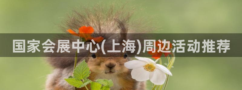 果博注册电话：国家会展中心(上海)周边活
