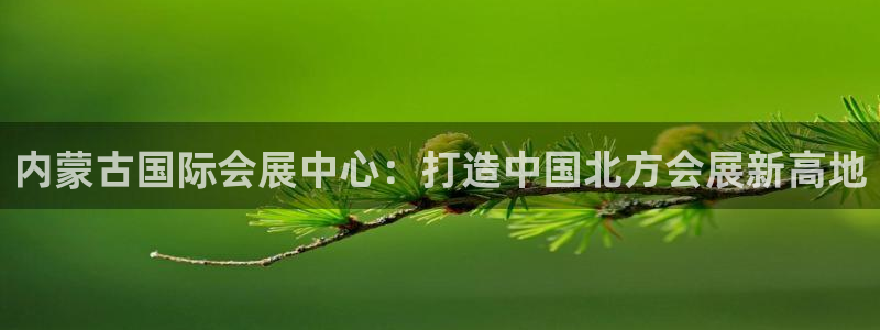 果博官方网：内蒙古国际会展中心：打造中国