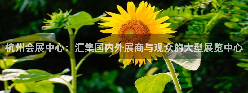 果博是怎么登录的：杭州会展中心：汇集国内