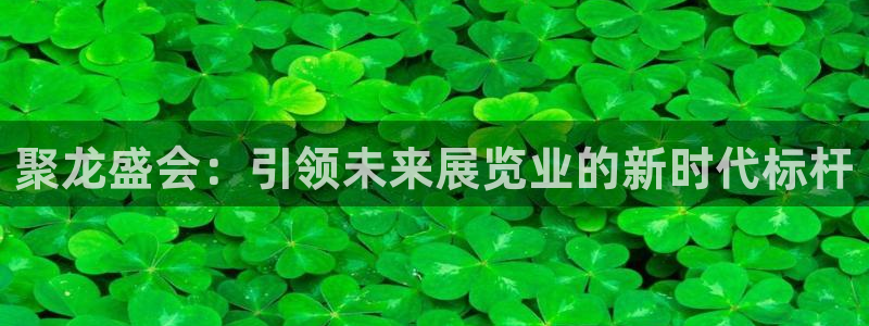 果博官网客服电话号码：聚龙盛会：引领未来