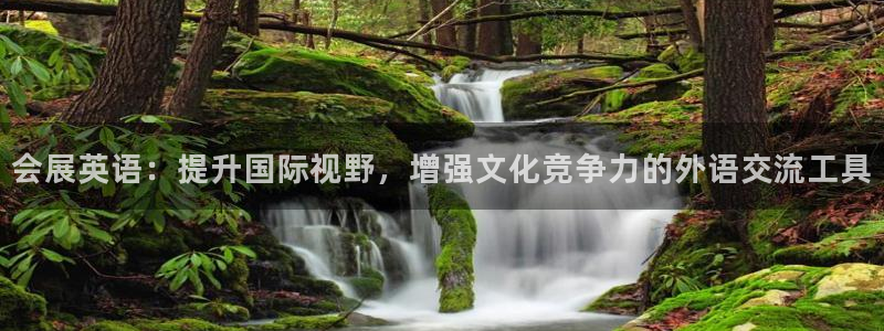 果博注册平台怎么注册不了：会展英语：提升国际视野，