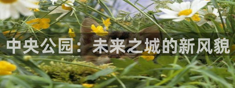 果博公司客服电话号码：中央公园：未来之城