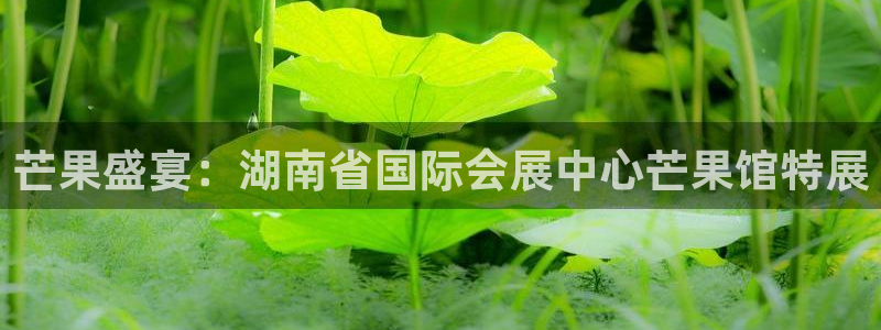 果博官网客服电话号码是多少