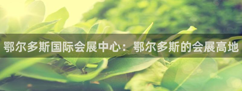 果博公司游戏网址