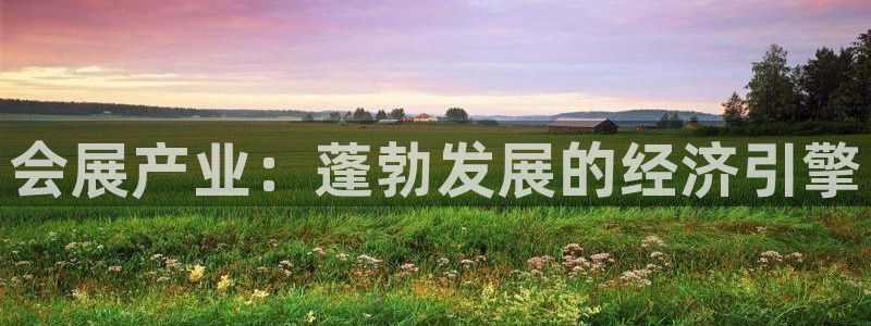 果博平台开户电话查询：会展产业：蓬勃发展的经济引擎