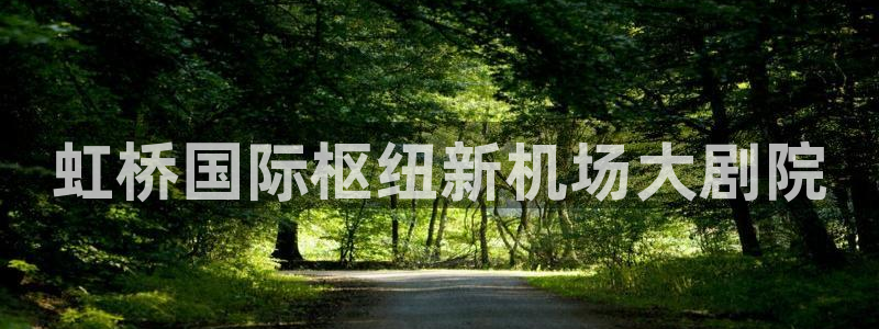 果博公司开户注册：虹桥国际枢纽新机场大剧