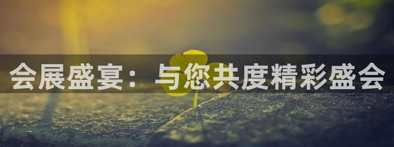 果博平台开户电话：会展盛宴：与您共度精彩
