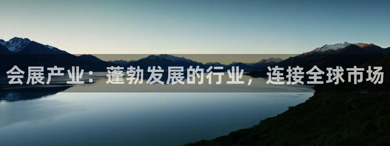 果博平台赖不赖：会展产业：蓬勃发展的行业