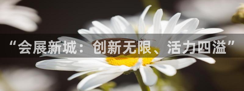果博真人：“会展新城：创新无限、活力四溢