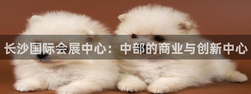 果博app官网下载：长沙国际会展中心：中