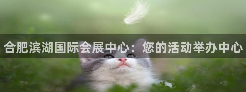 果博公司上分客服：合肥滨湖国际会展中心：