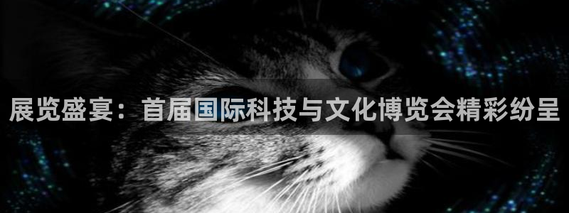 苹果电脑可以下载博易大师吗：展览盛宴：首