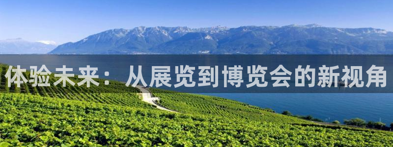 果博东手机版下载开户：体验未来：从展览到