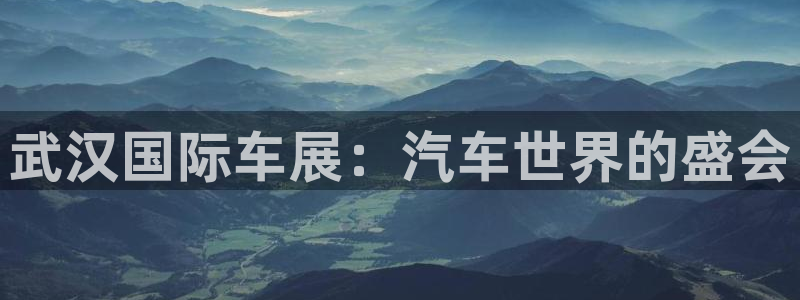 果博注册会员多少钱：武汉国际车展：汽车世