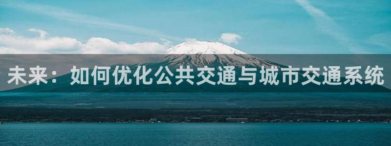 果博官方网：未来：如何优化公共交通与城市