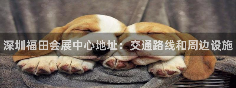 果博平台真实吗安全吗可信吗安全吗：深圳福