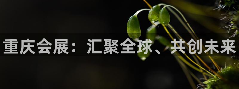 果博怎么注册账号：重庆会展：汇聚全球、共