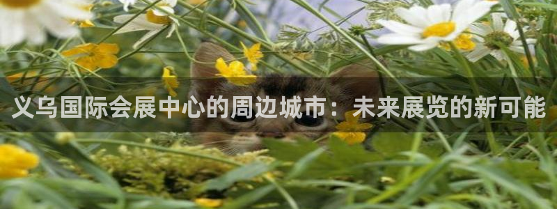 果博注册链接：义乌国际会展中心的周边城市